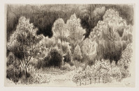 KT 2004 116
<br/>
Landschap bij Wissembourg
<br/>
<em>Prenen, Harry (1915-1992)</em>